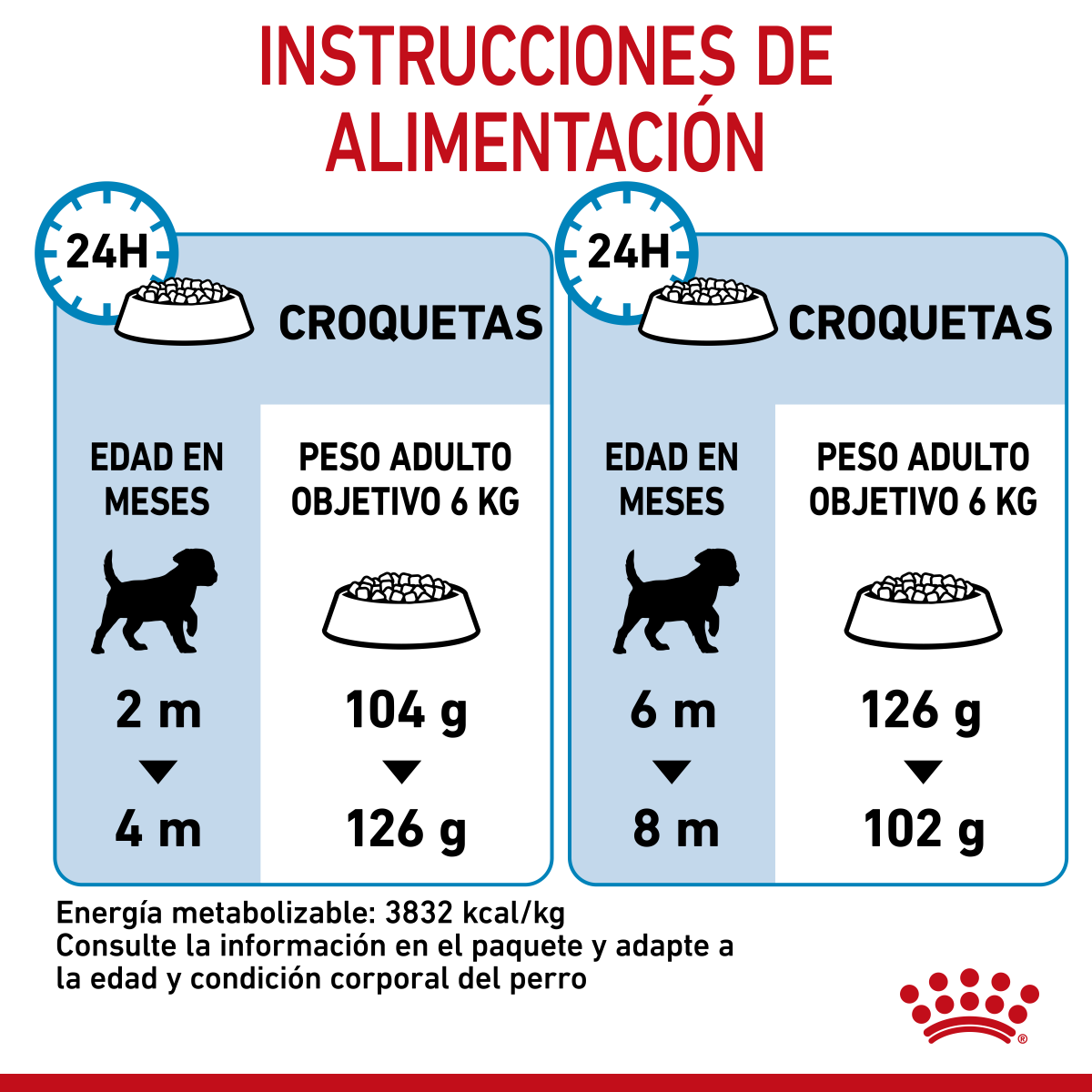 Royal Canin Cachorro Raza Pequeña Royal Canin Cachorro Raza Pequeña